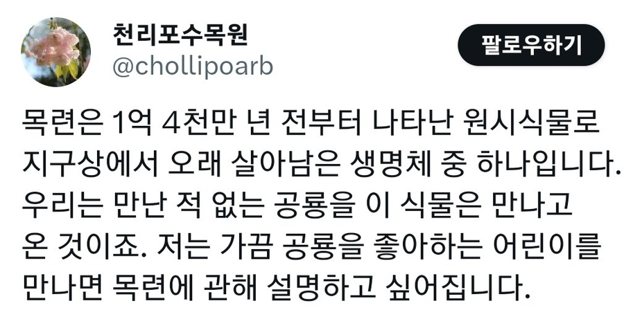 별별까페 이미지