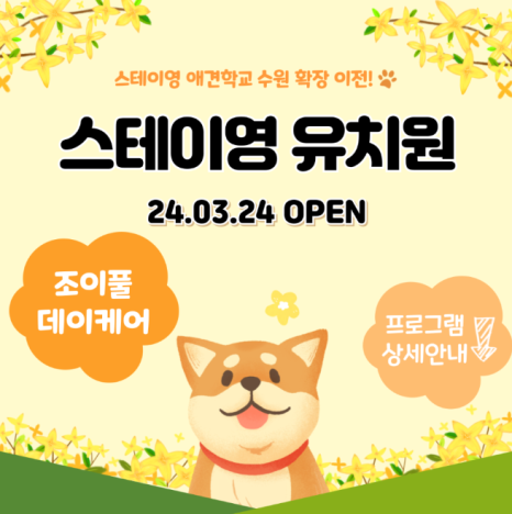 스테이영 이미지