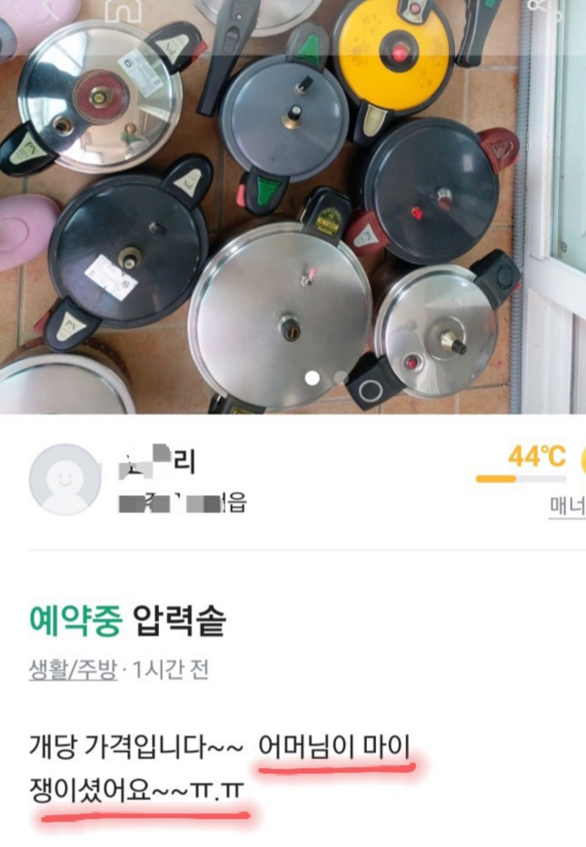 솥쟁이 이미지
