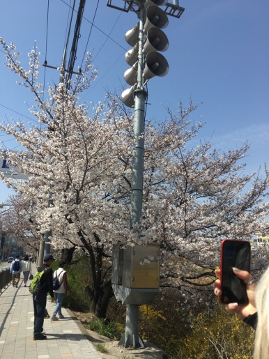세민상회 이미지
