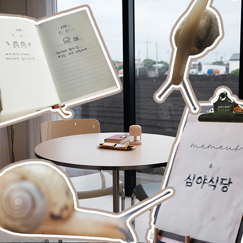 미미어스제주 이미지