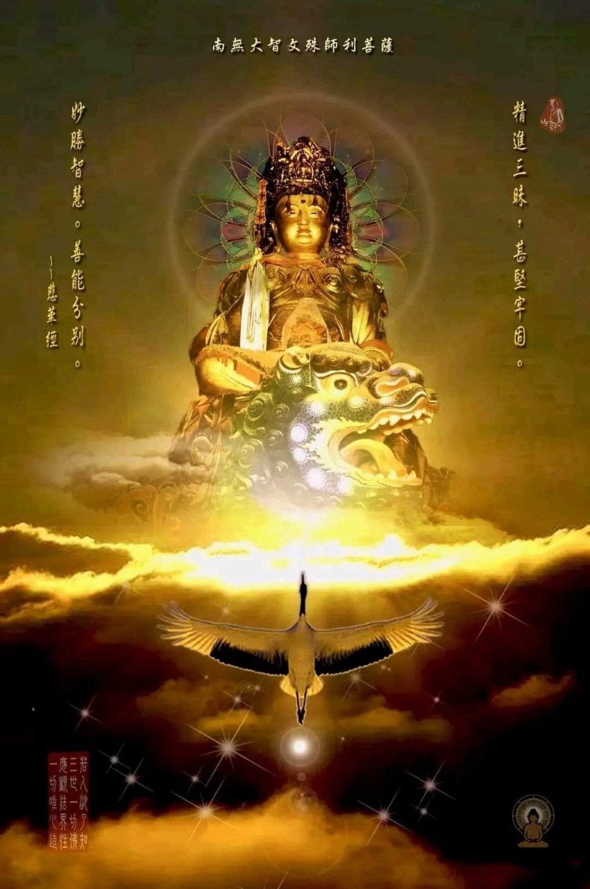 물소리바람소리 이미지