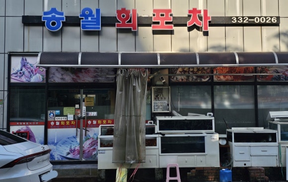 송월회포차 이미지