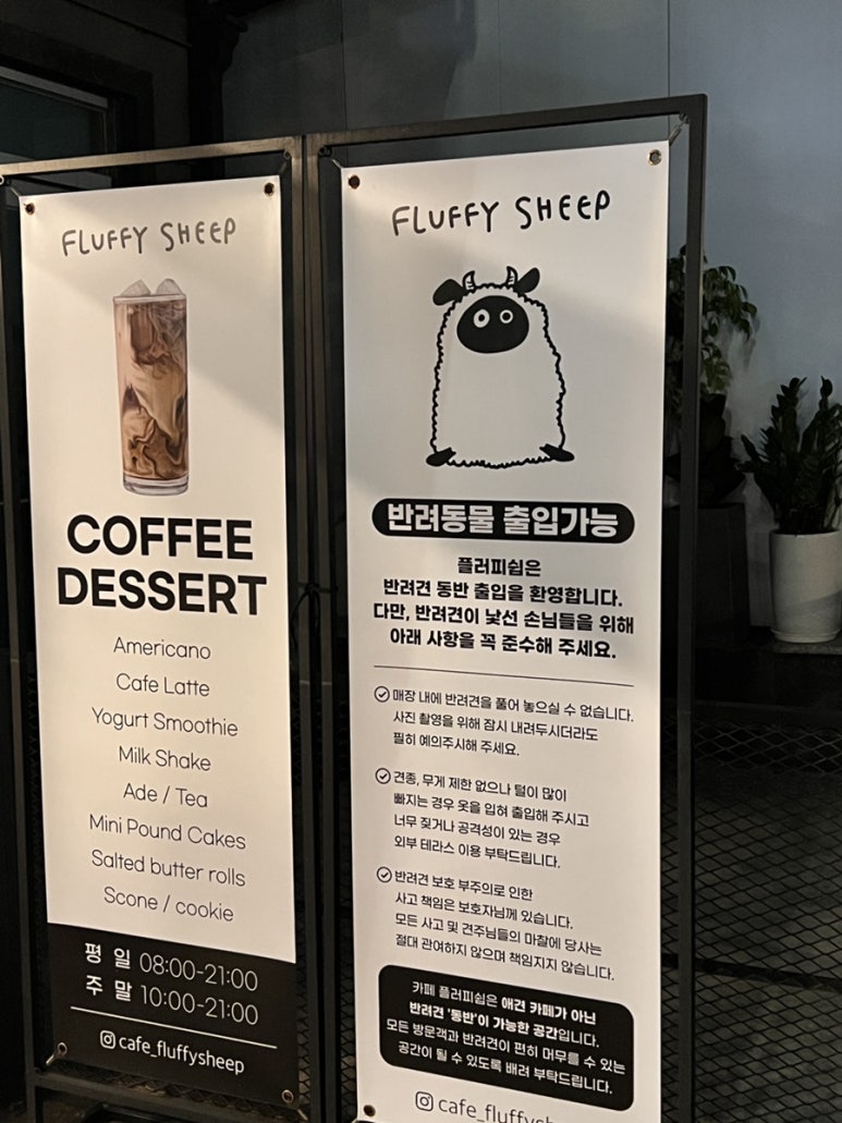플러피쉽 이미지