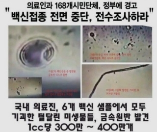 성전일식 이미지