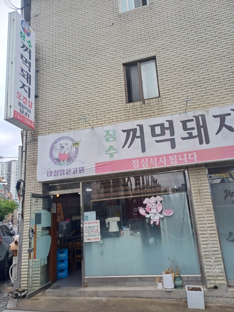 장수꺼먹돼지 이미지