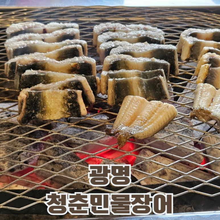 청춘민물장어 이미지