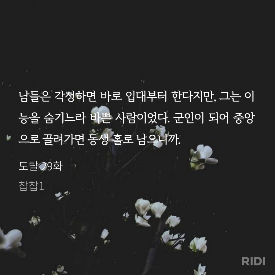 오만물 이미지