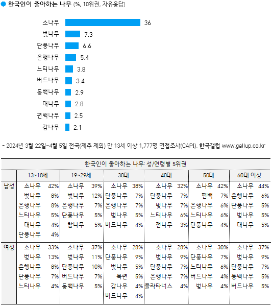 나무요일 이미지