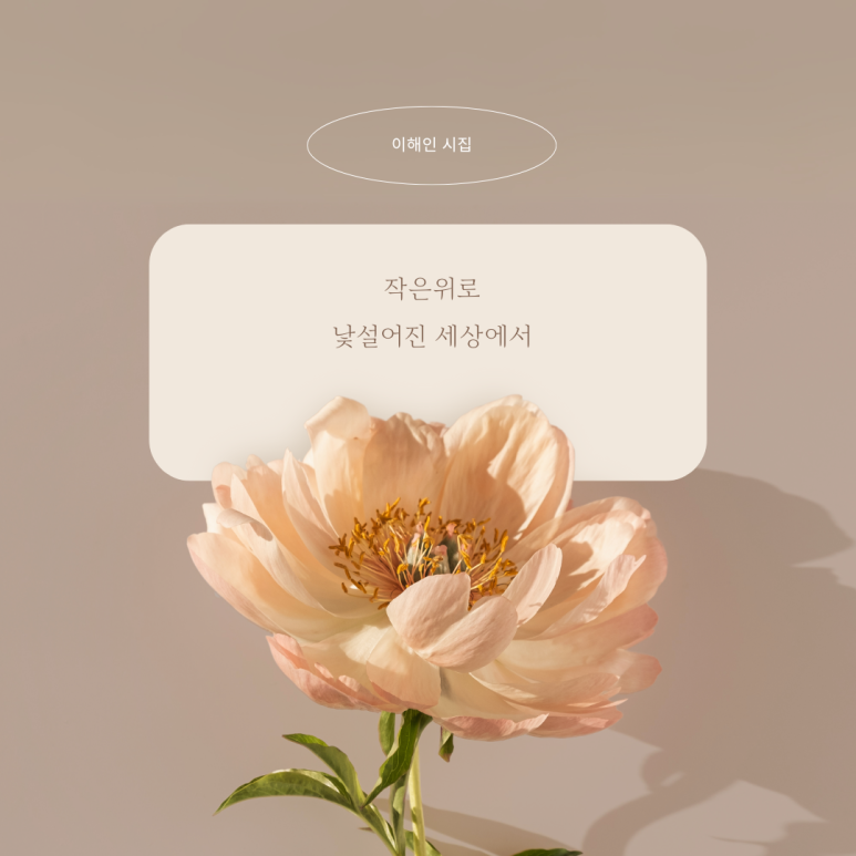 모모미 이미지