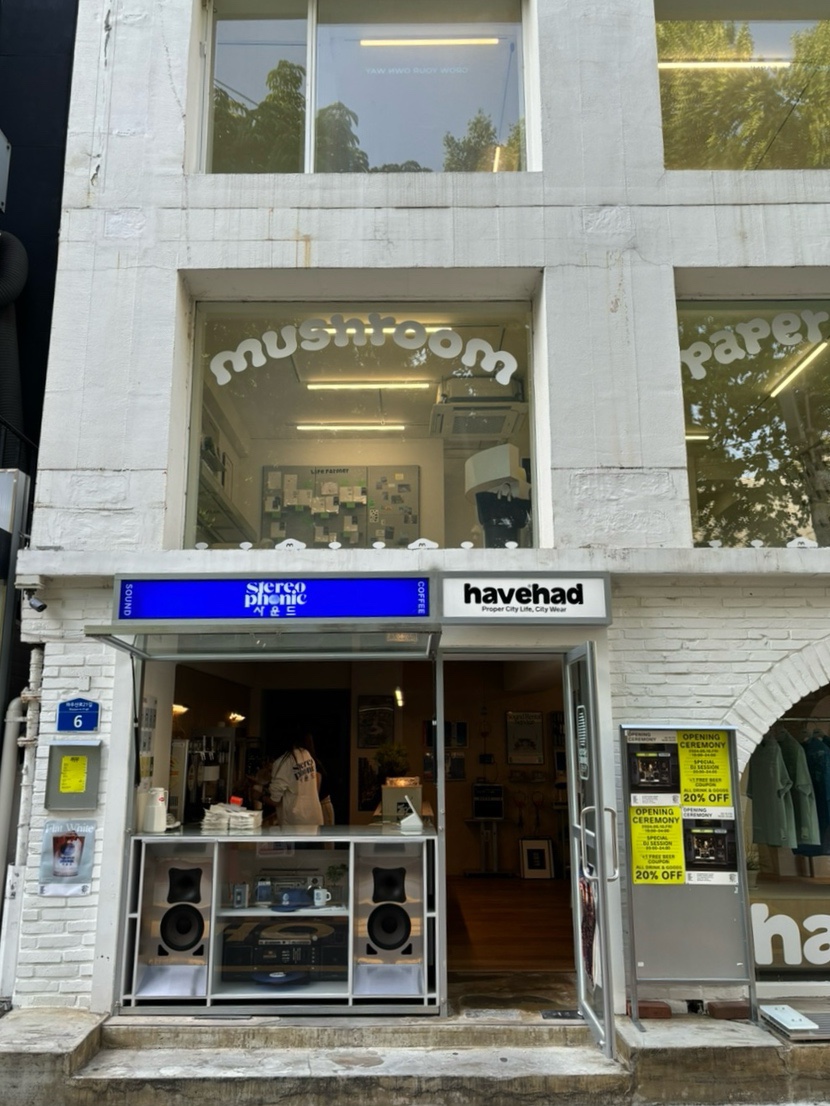 스테레오포닉 이미지