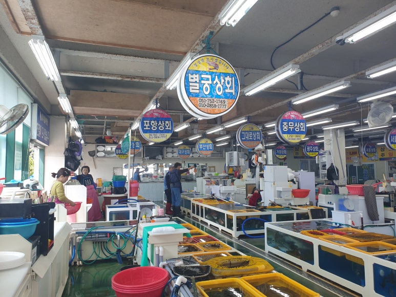 오라회센타 이미지