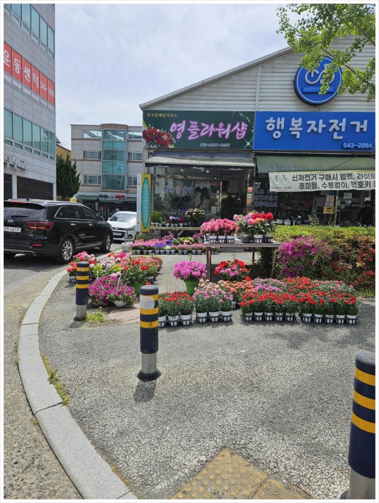 영플라워샵 이미지