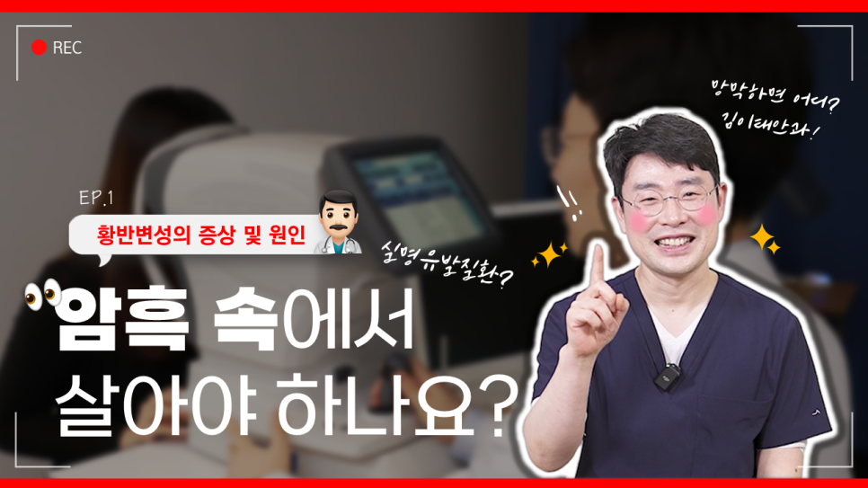 김이태안과 이미지