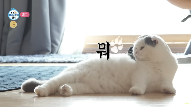 피아노샵 이미지