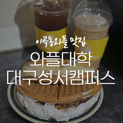 와플대학 대구성서캠퍼스 이미지