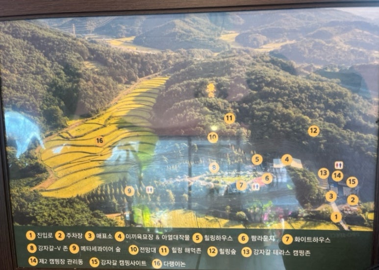 더힐링식물원야영장 이미지