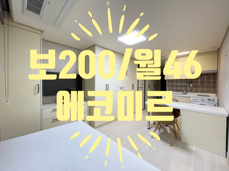 에코미르 이미지