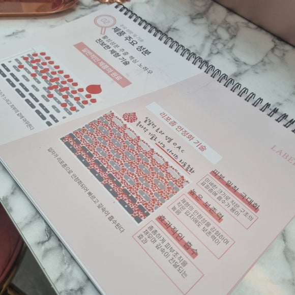 허니벨라 이미지