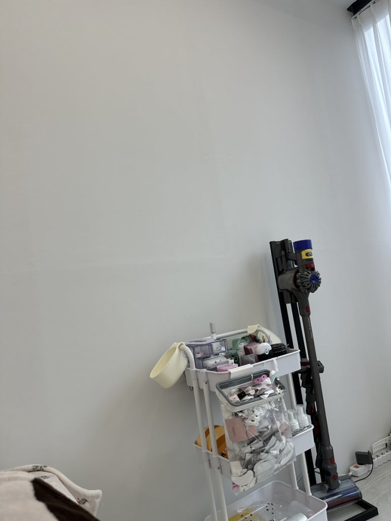 디데이브로우 이미지
