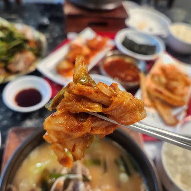대양카 이미지