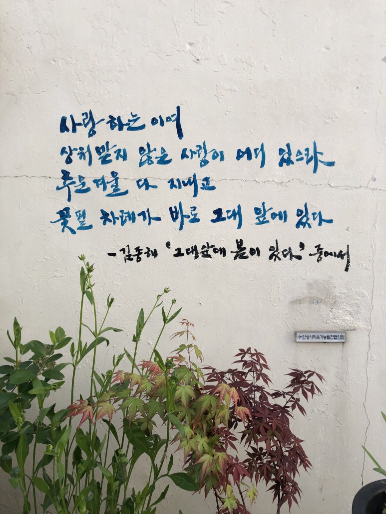 초록의계절 이미지