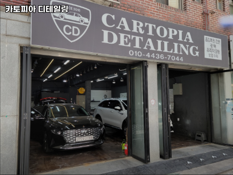 카토피아 이미지