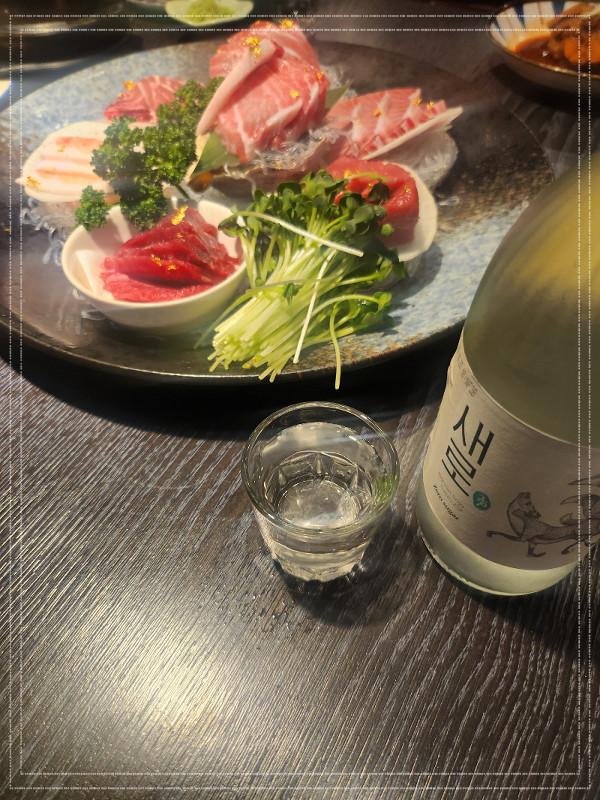 혼 참치 이미지