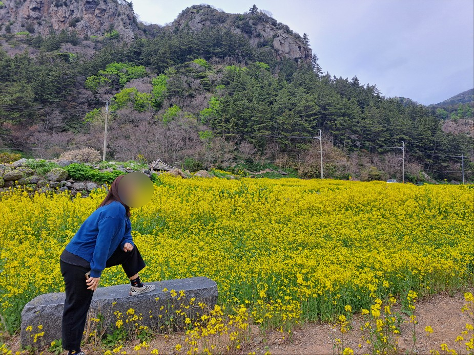 해수스낵 이미지