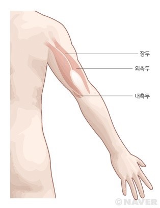 반반피트니스 이미지