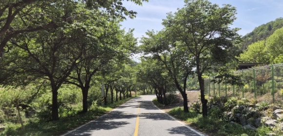 달봉카페 이미지