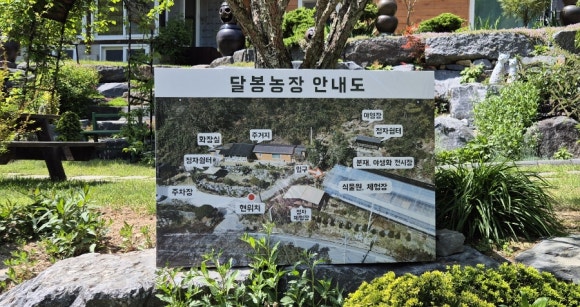 달봉카페 이미지
