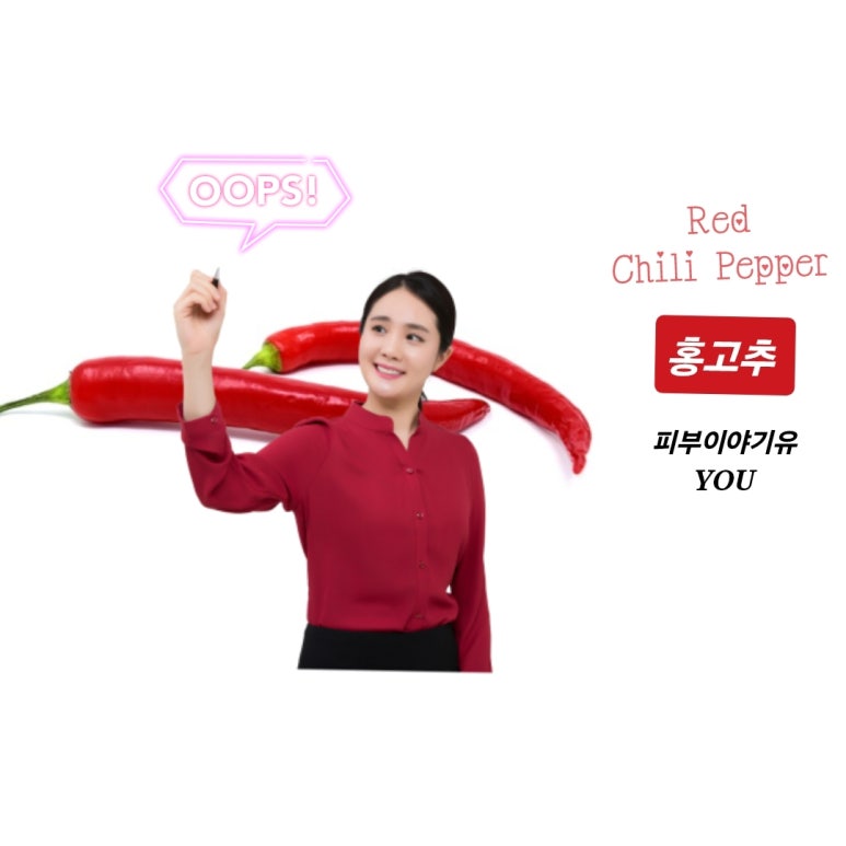 홍고추나라 이미지
