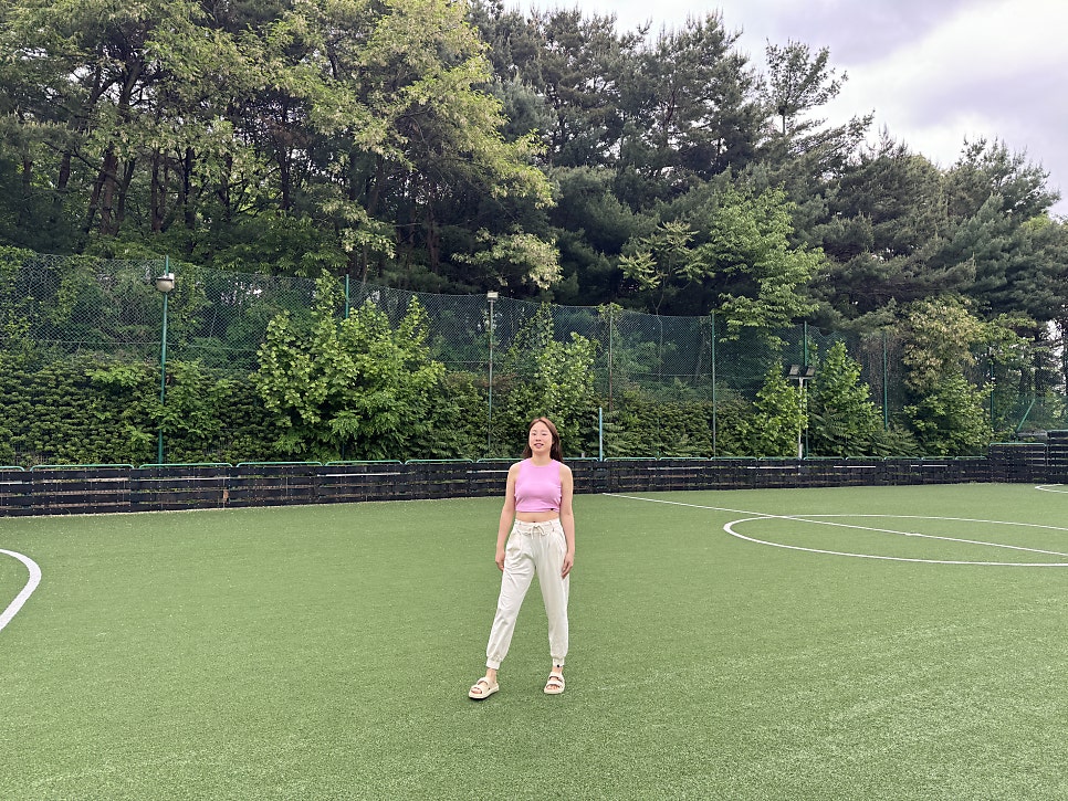 피피힐즈 이미지