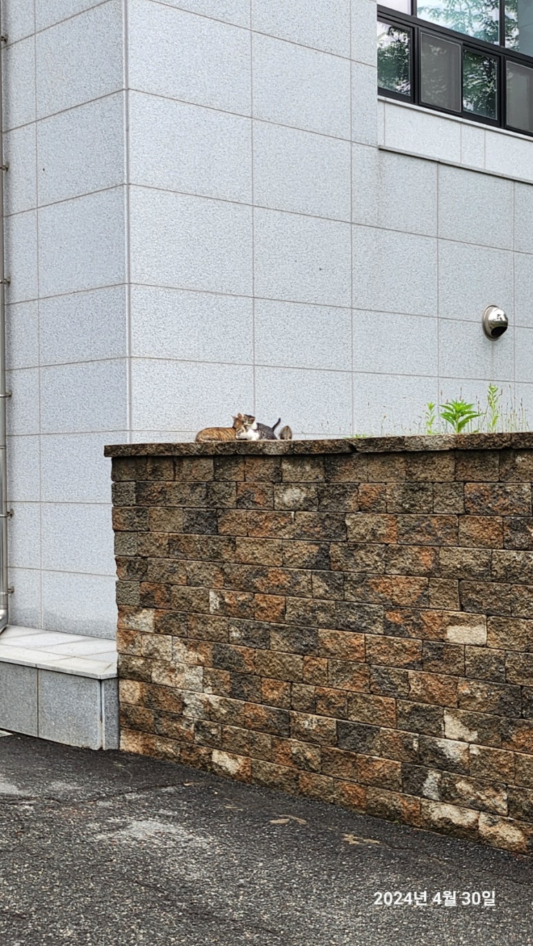 에듀텍 이미지