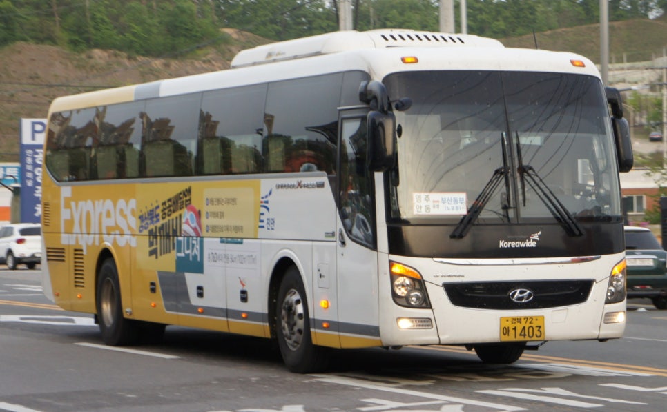 현대꽃동산 이미지