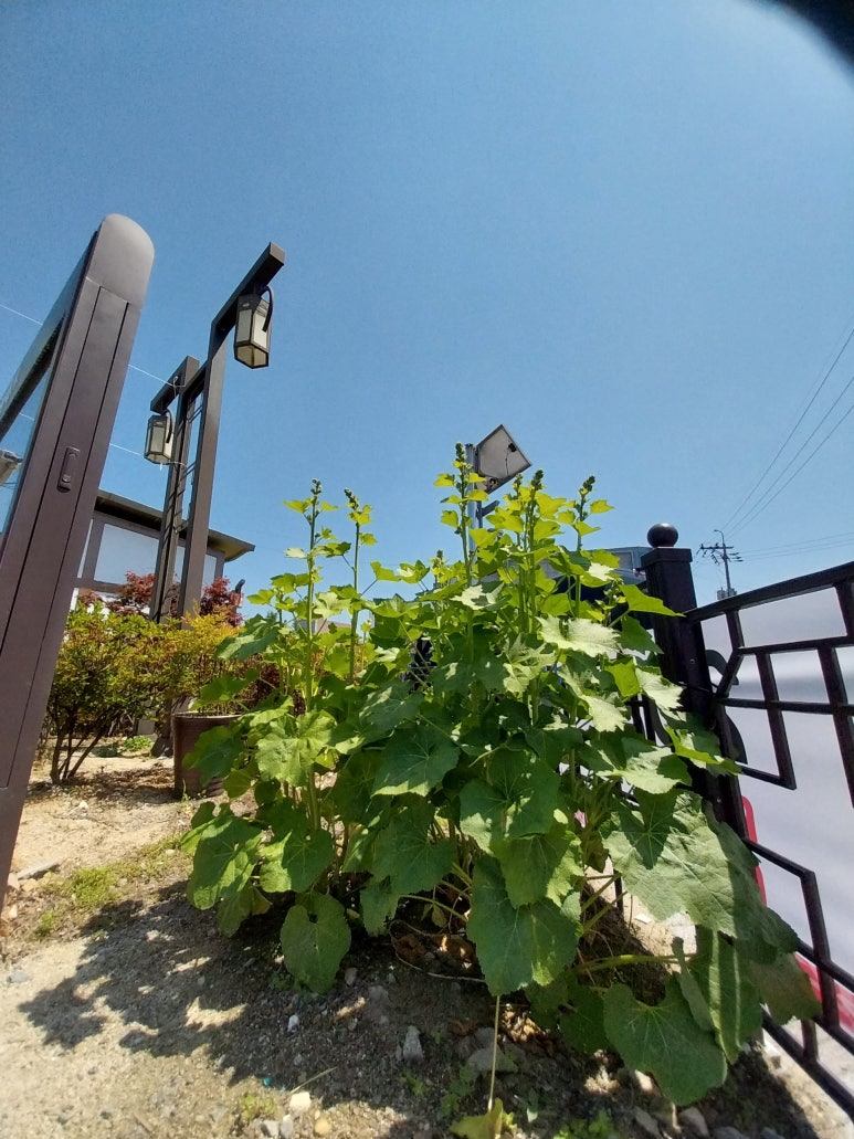 mr] 외국곡 반주곡 모음 : 네이버 블로그