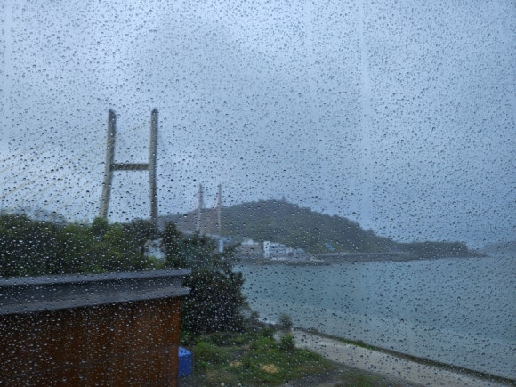 숯과 닭발(학동점) 이미지