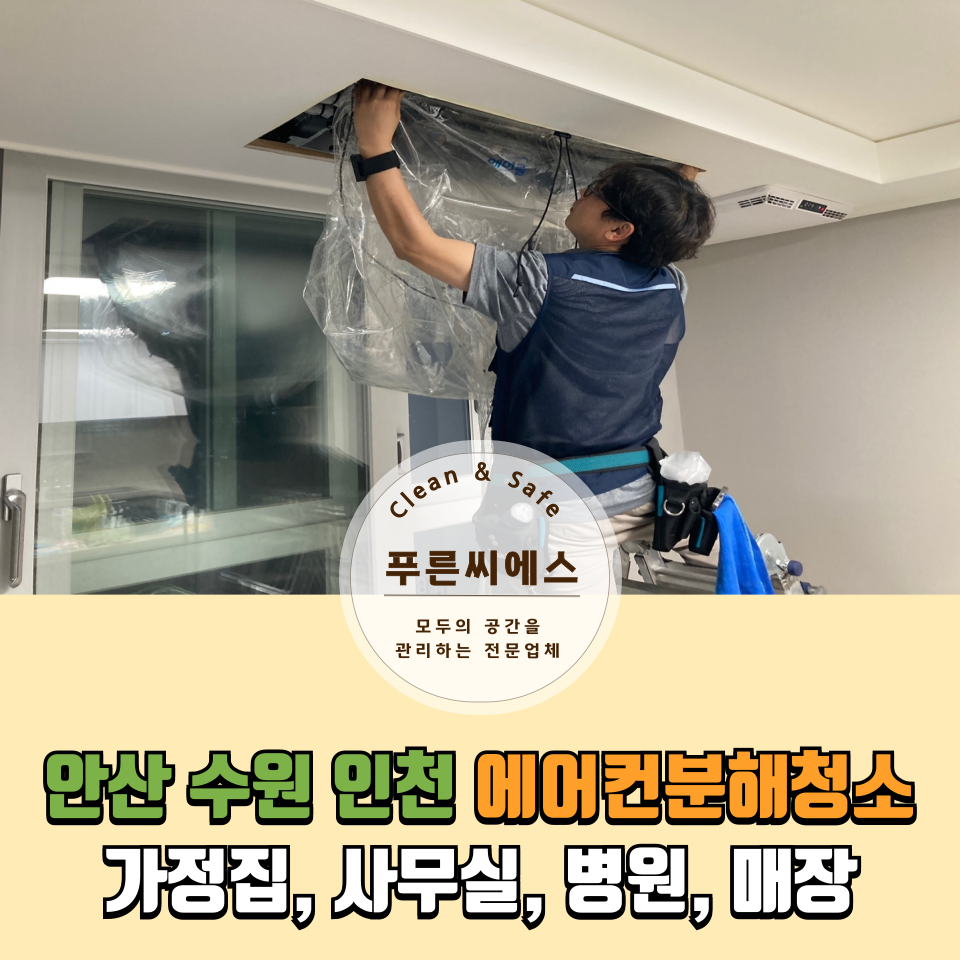 푸른씨에스 이미지