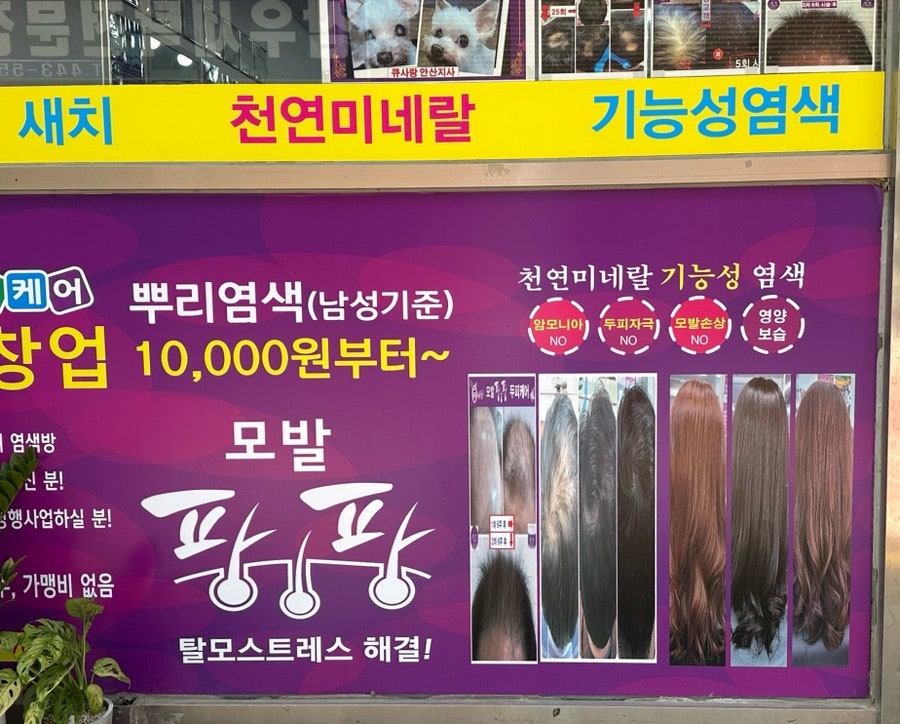 큐사랑구미형곡 이미지