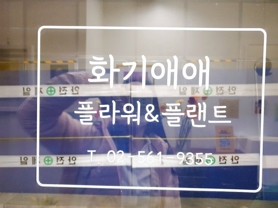 화기애애 플라워&플랜트 이미지