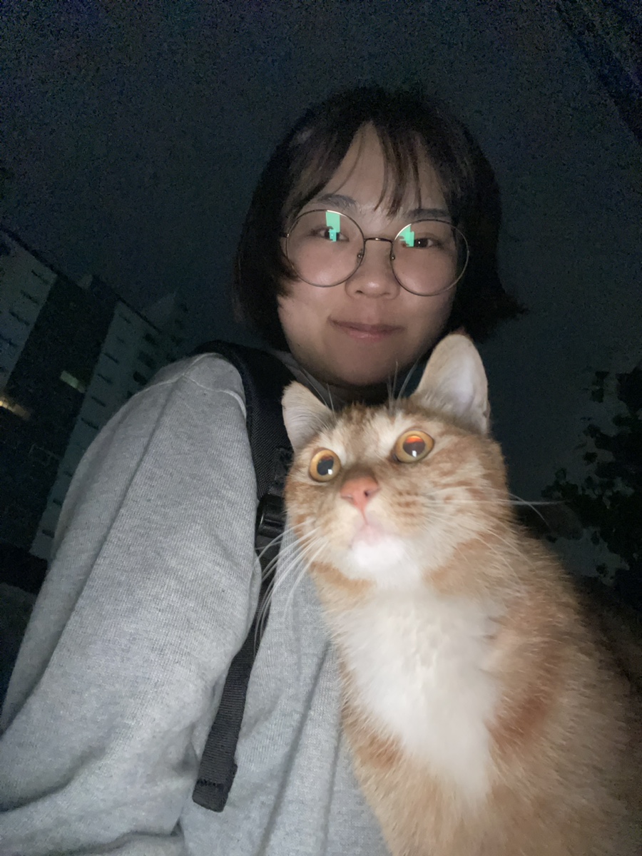 단감테라피 이미지