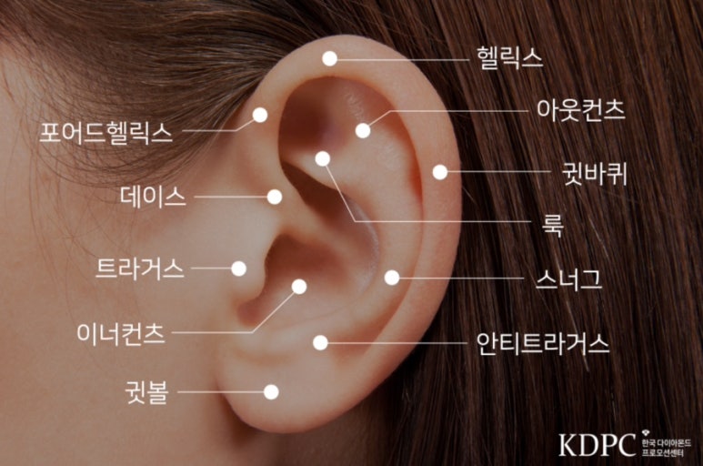 참,어 이미지