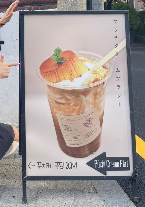 푸치케 이미지