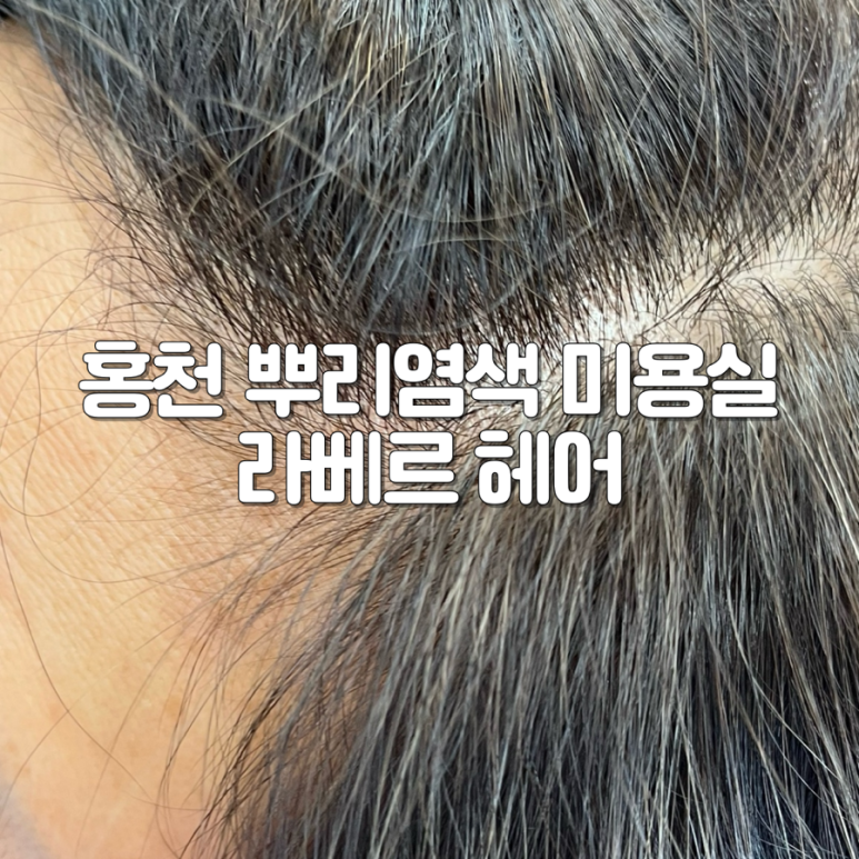 라베르헤어 이미지