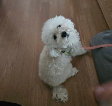 에바가위컷 전문점 이미지