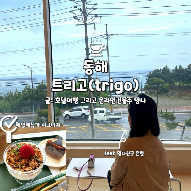트리고(trigo) 이미지