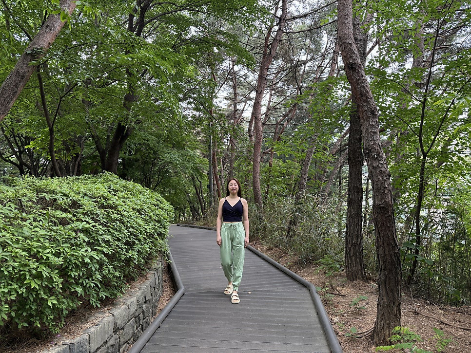 피피힐즈 이미지