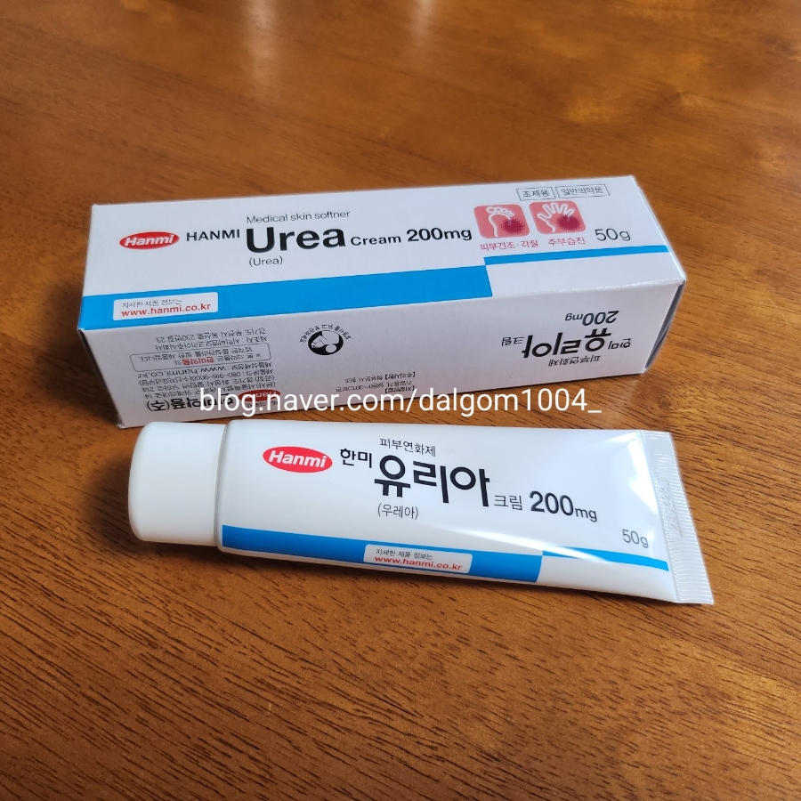 수유리아 이미지