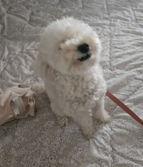 에바가위컷 전문점 이미지